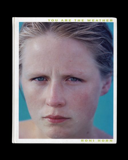 Roni Horn, You Are the Weather